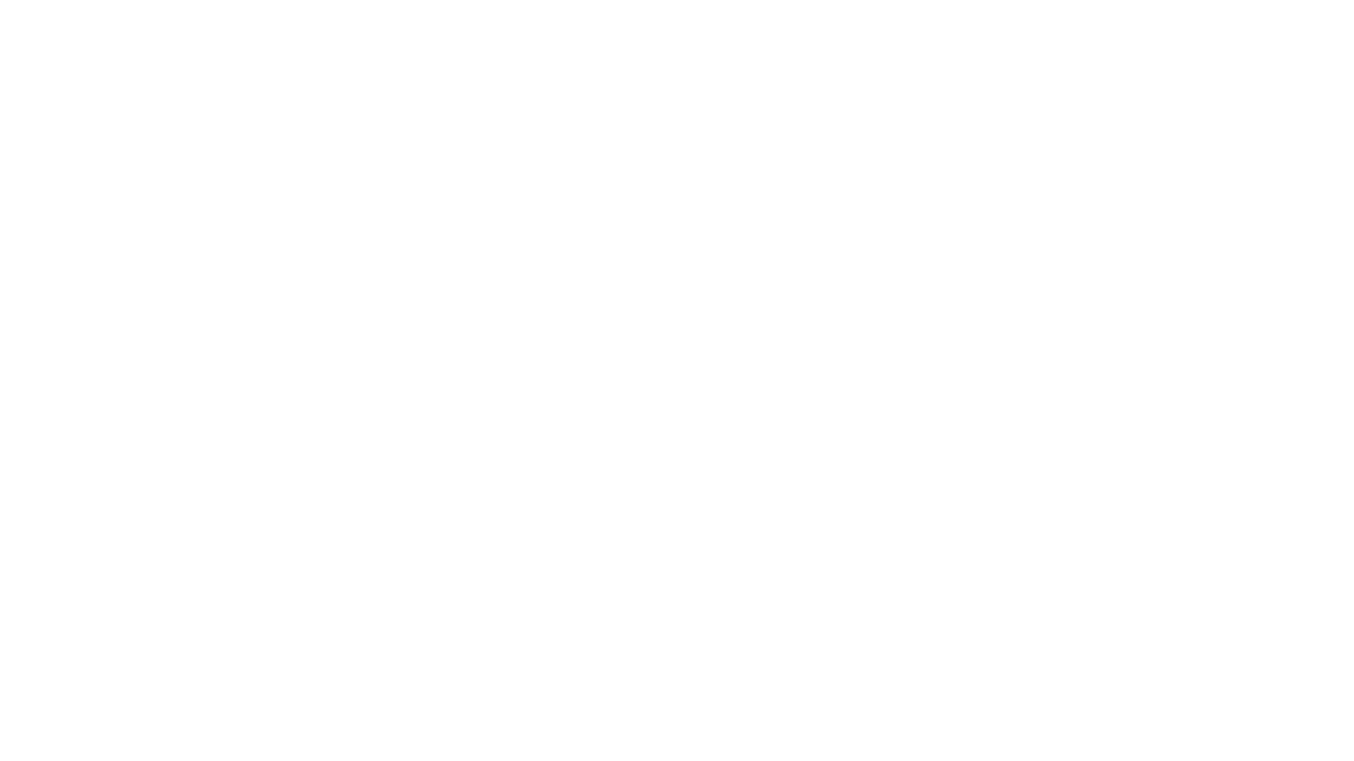 ITS Logo White